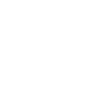 华南电商快船（UPS/卡派）